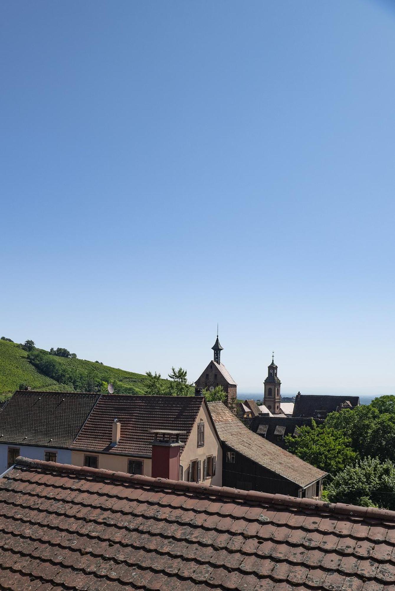Riesling - Vue Imprenable Sur Le Vignoble - Renove Recemment - Parking Gratuit Riquewihr Exterior foto