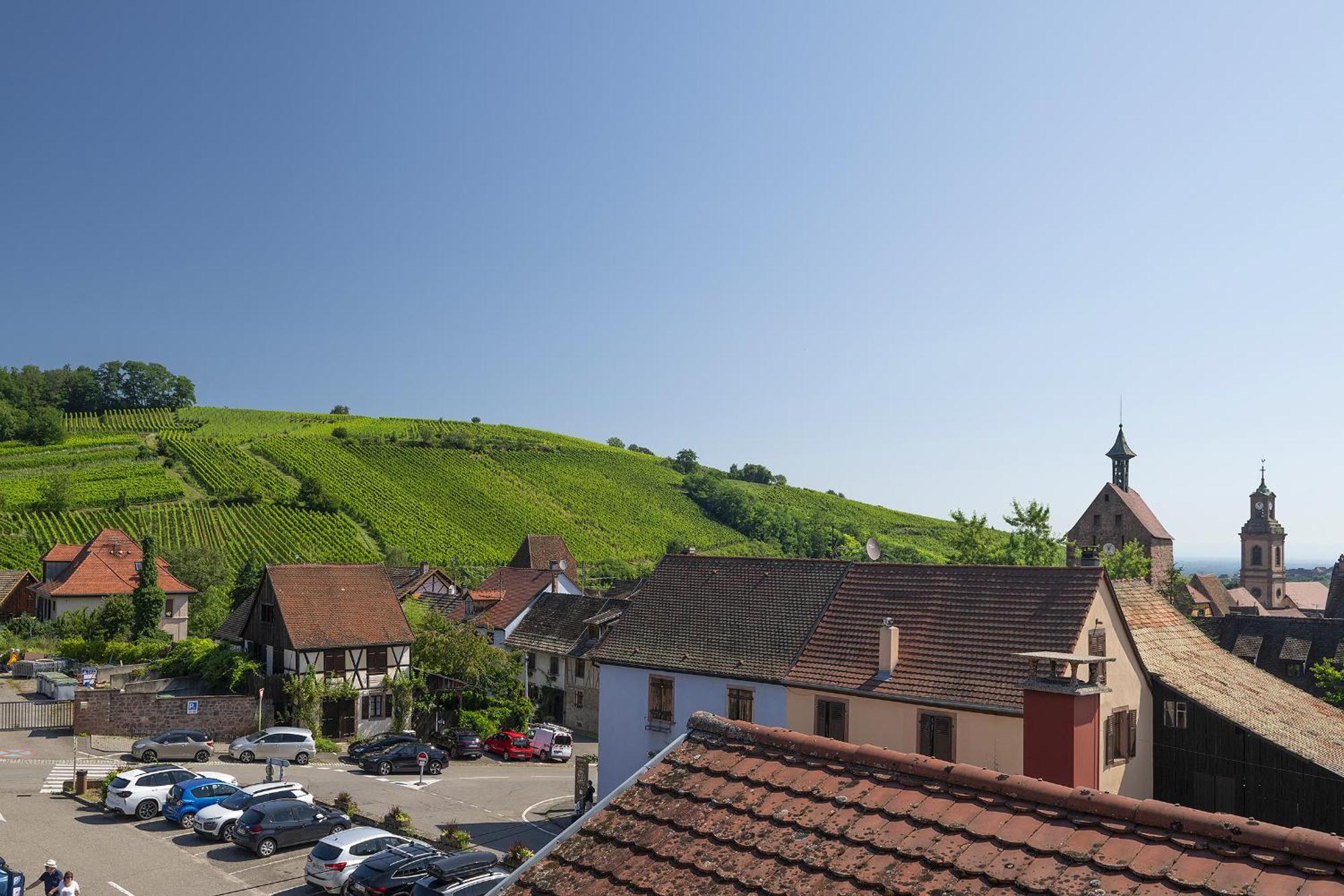 Riesling - Vue Imprenable Sur Le Vignoble - Renove Recemment - Parking Gratuit Riquewihr Exterior foto