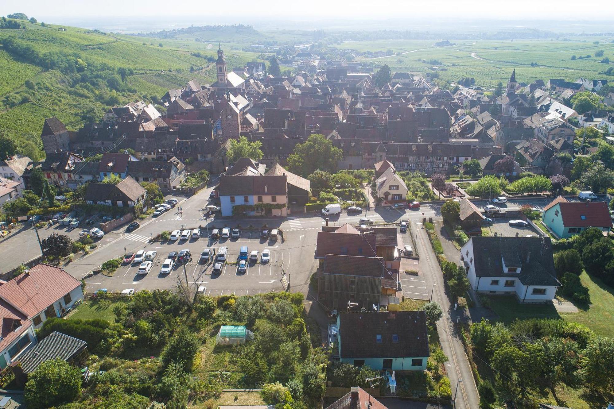 Riesling - Vue Imprenable Sur Le Vignoble - Renove Recemment - Parking Gratuit Riquewihr Exterior foto